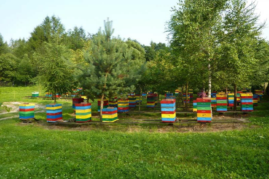MIODOLAND Poľské úle včelej kráľovnej ukladajúcej med Poľsko 02